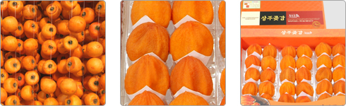 58b8d26366d49a15b74b6d66c51f0550_1456393